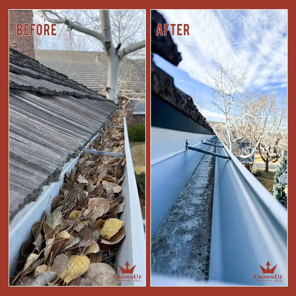 Gutter Cleaning